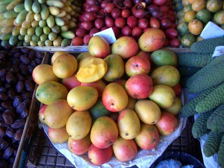 026Legumes