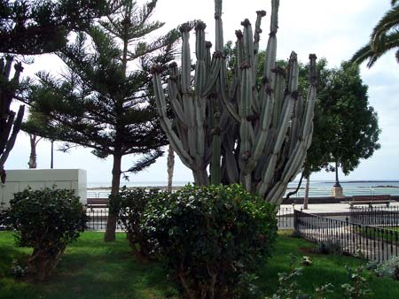 552Lanzarote