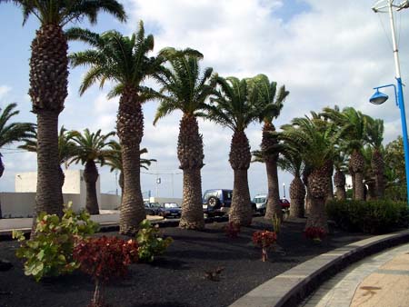 567Lanzarote