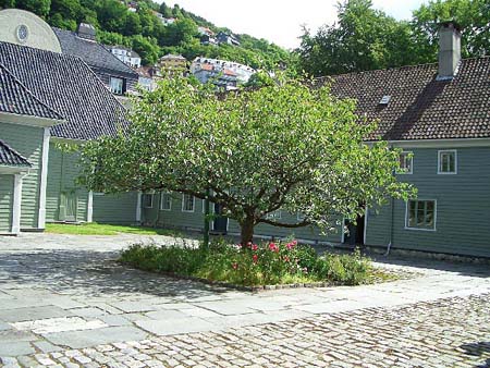 128Bergen