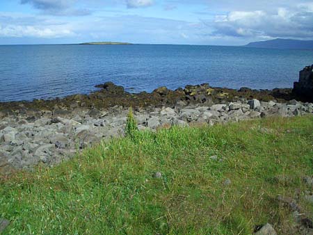507Reykjavik