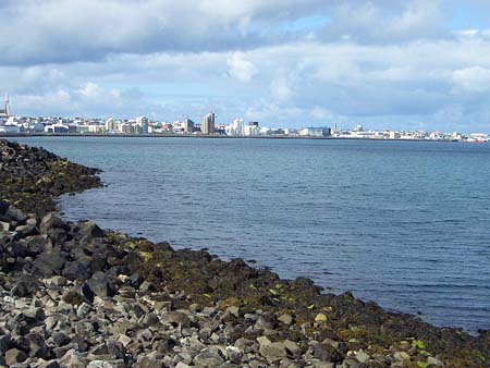 513Reykjavik