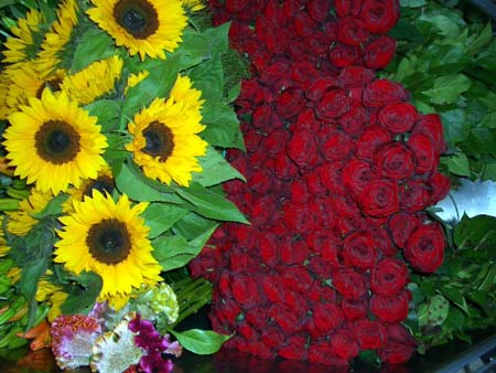781Blumen