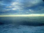 377Ocean