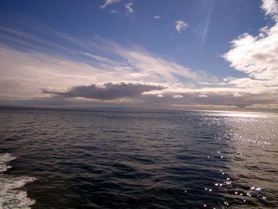025Ocean