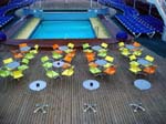 119Deck