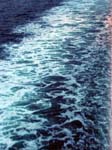 224Ocean