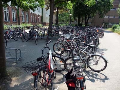 Sieger2010A-045