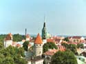 500Tallinn037