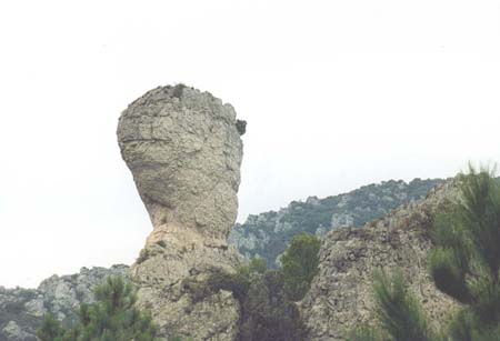 231Herault05