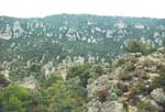 229Herault02