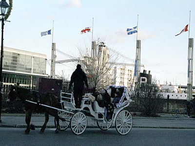 Montreal102