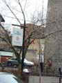 Montreal069